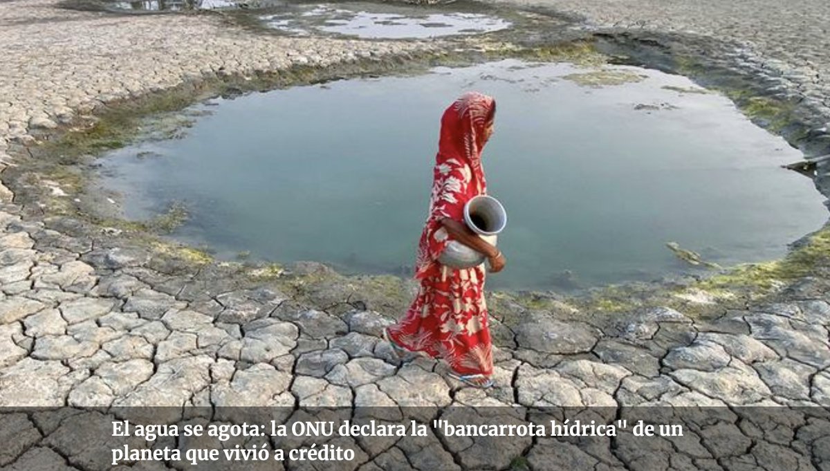 Nada más alejado de ser una nota falsa.

#EsLaNeta y necesitamos como humanidad entender y poner más nos a la obra.