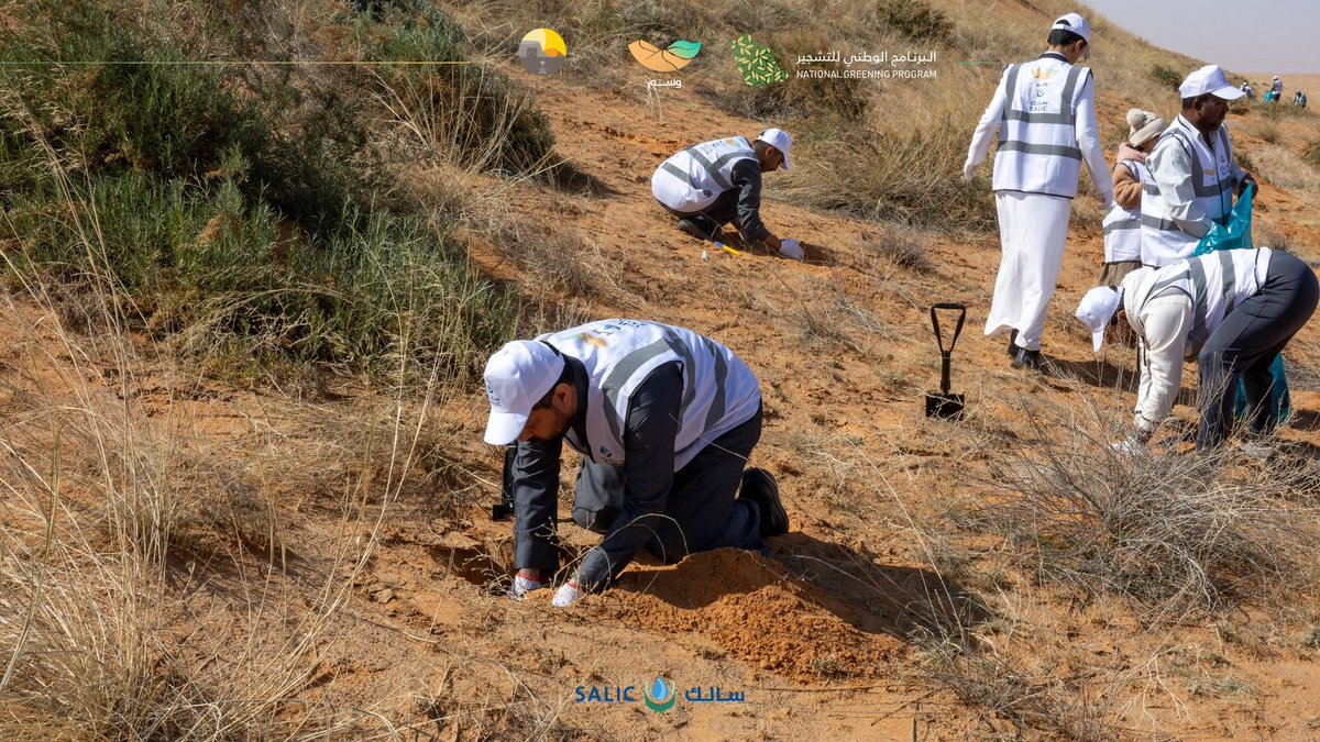 زرعنا أول 2,500 أرطى 

بدعمٍ من <a href="/KSA_SALIC/">سالك | SALIC</a>، نفذنا أولى مبادراتنا لزراعة 100,000 شجرة أرطى في الدهناء بمحمية الملك عبدالعزيز الملكية 🌱
