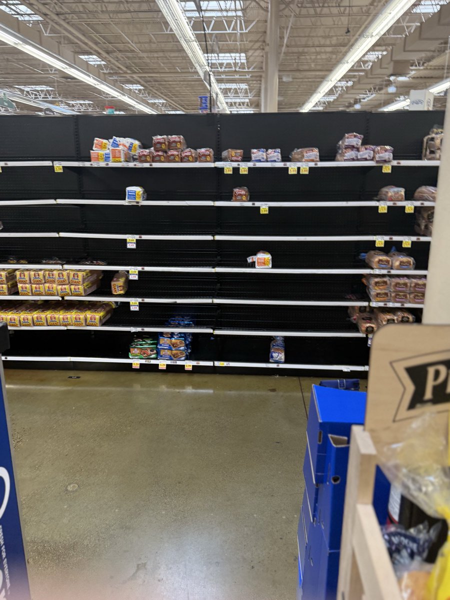 Bill Mayo tweet media