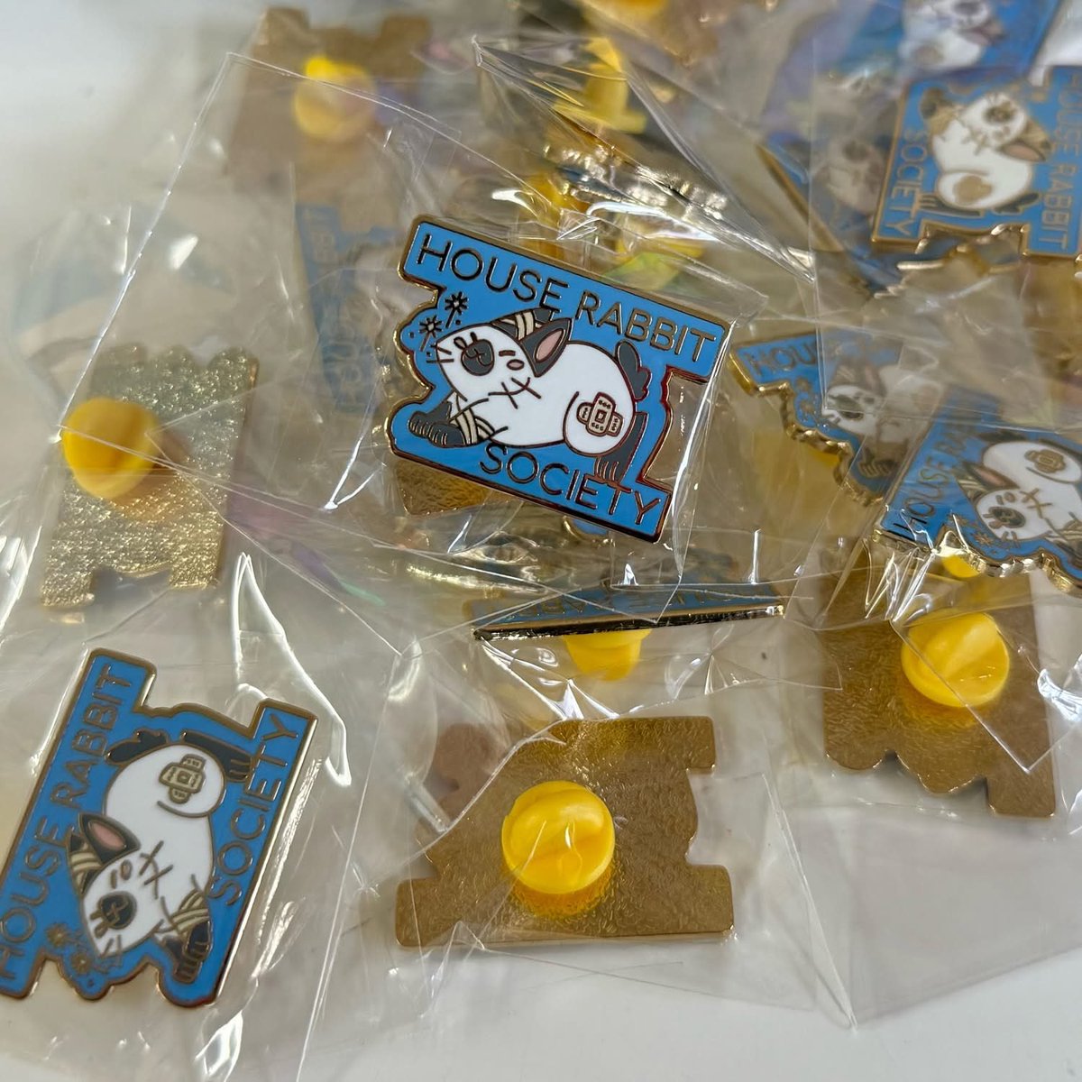 Join the HRS Bunny Brigade! Monthly or quarterly giving commitments provide steady, reliable funding for our most critical work.

As our thank you, receive an exclusive Bunny Brigade sticker and our new HRS healing bunny enamel pin. ❤️‍🩹🐇

Join now: houserabbit.org/recurring