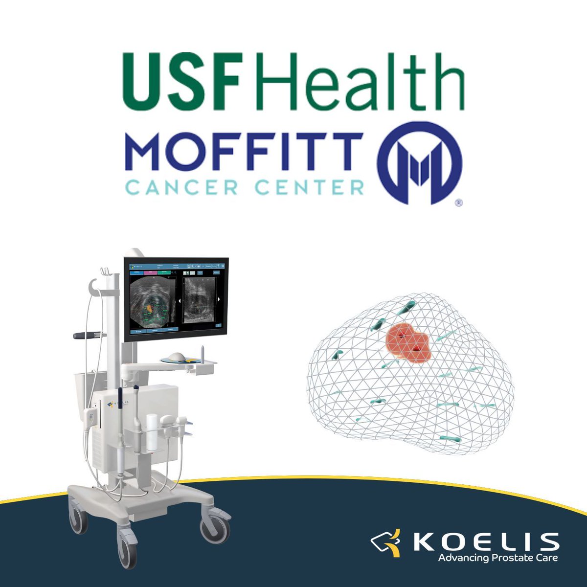 KoelisBx's tweet photo. The Koelis team is excited to attend the 31st Annual Advances in Urology meeting, hosted by the University of South Florida &amp; Moffitt Cancer Center. 
The meeting takes place from January 31st to February 1st at the Ritz-Carlton Amelia Island hotel. Come stop by and meet the team https://t.co/nYXDE3V8um