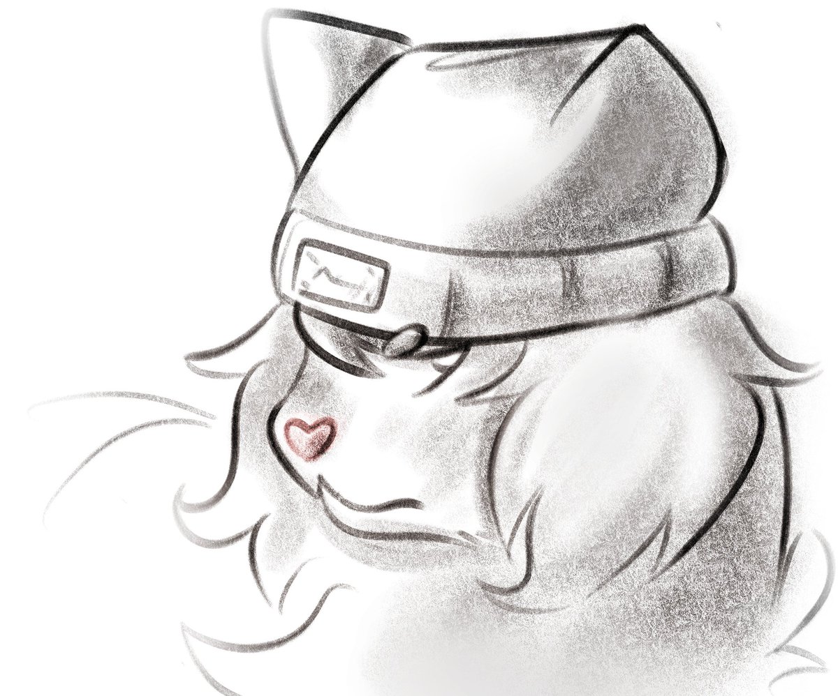 cheefli's tweet image. 