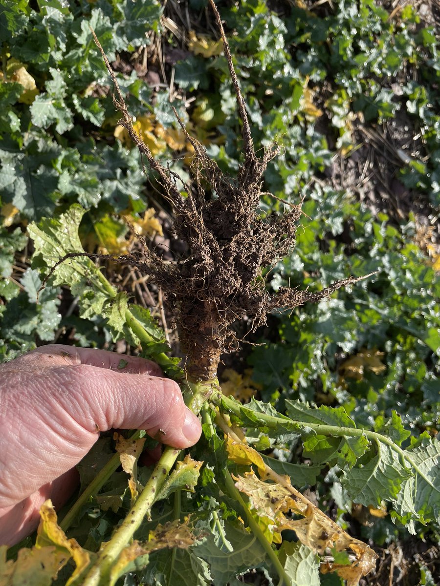 John Dunne tweet media