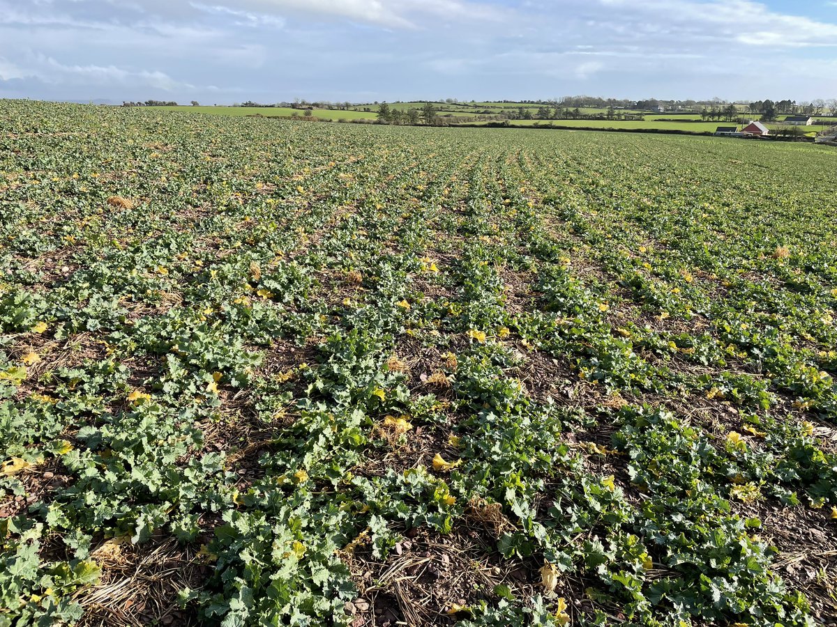 John Dunne tweet media