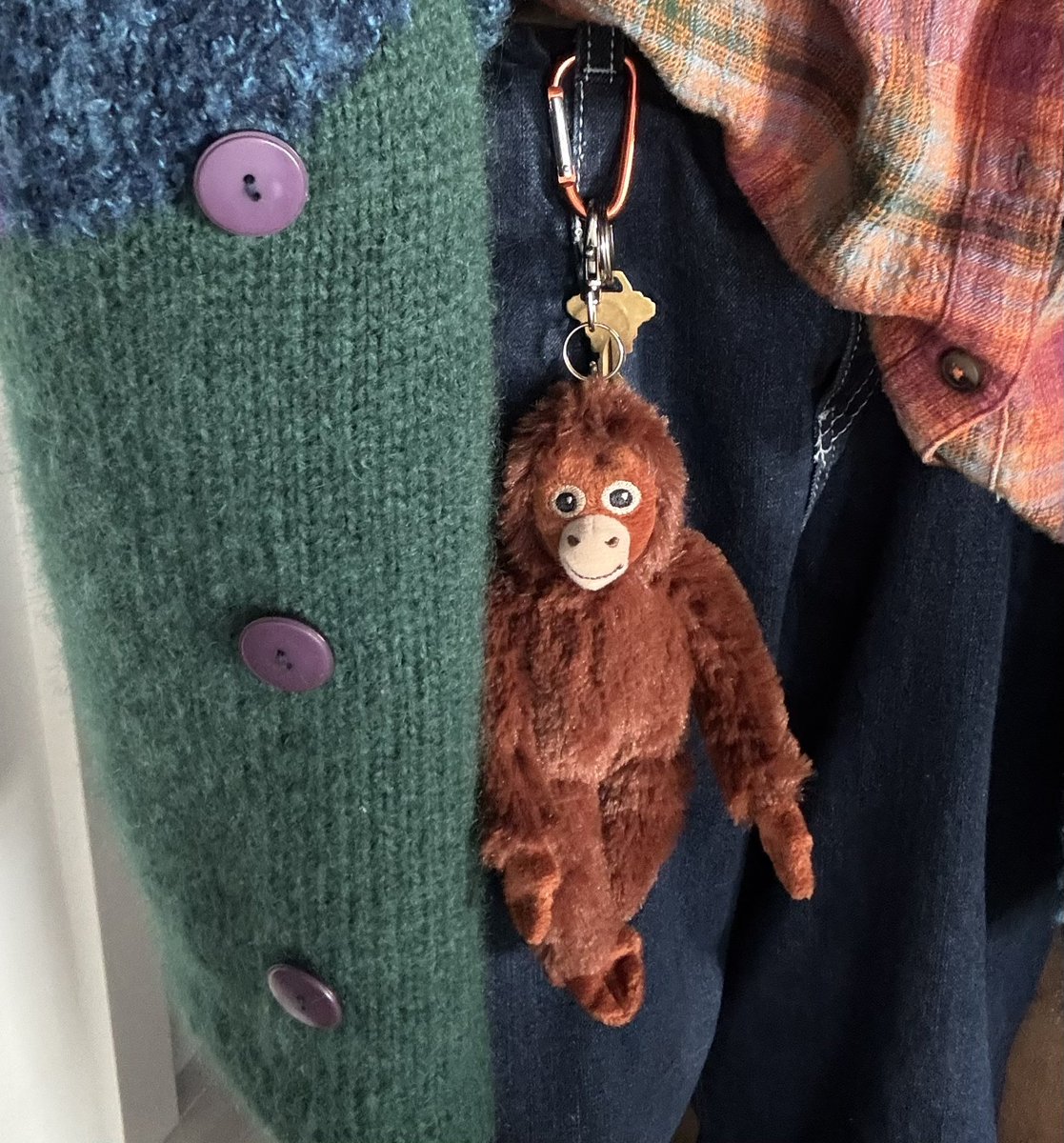 isopod_lover35's tweet image. orangutan came to the mall with me