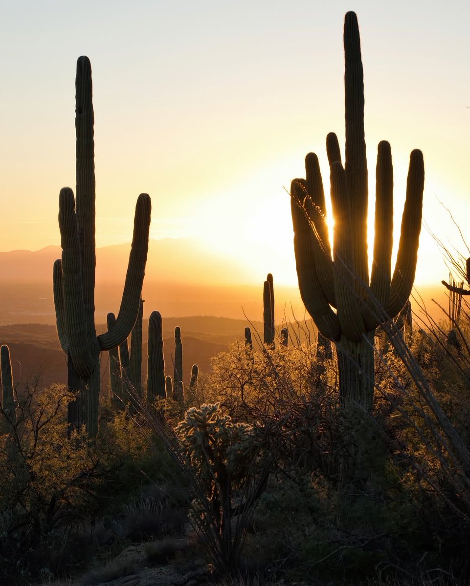 Josh Lien / Fine Art Photographer tweet media