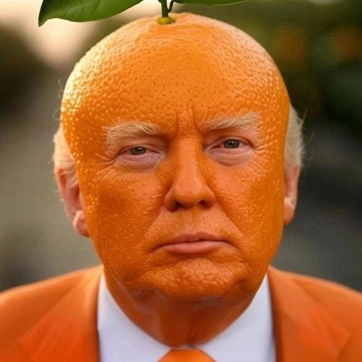 jamesconno93210's tweet image. Fuck right off, you orange fucking knobhead.