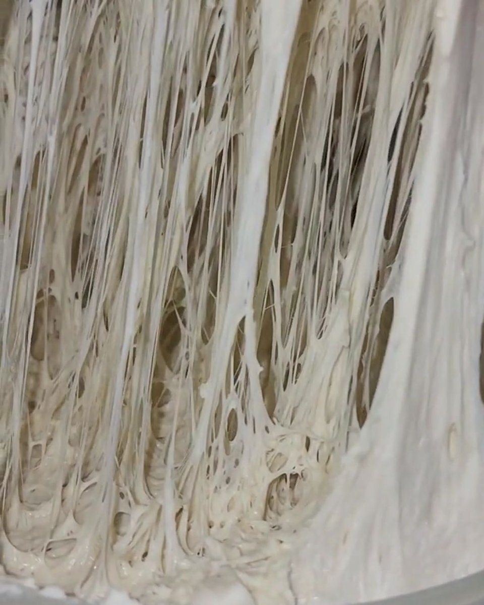 KezarPizzetta's tweet image. Three days, one delicious pizza. Letting pizza dough rest for 72 hours unlocks deep flavor, airy texture, and that perfect crunch. Would you wait for the ultimate bite? #PizzaScience #HomemadeCrust