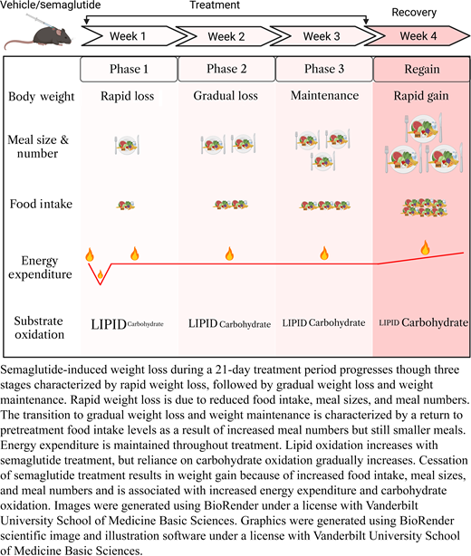 Diabetes, an ADA research journal 🧪 tweet media