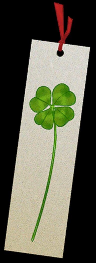 ZeroEscapeAny's tweet image. Diana gave Sigma the clover bookmark.