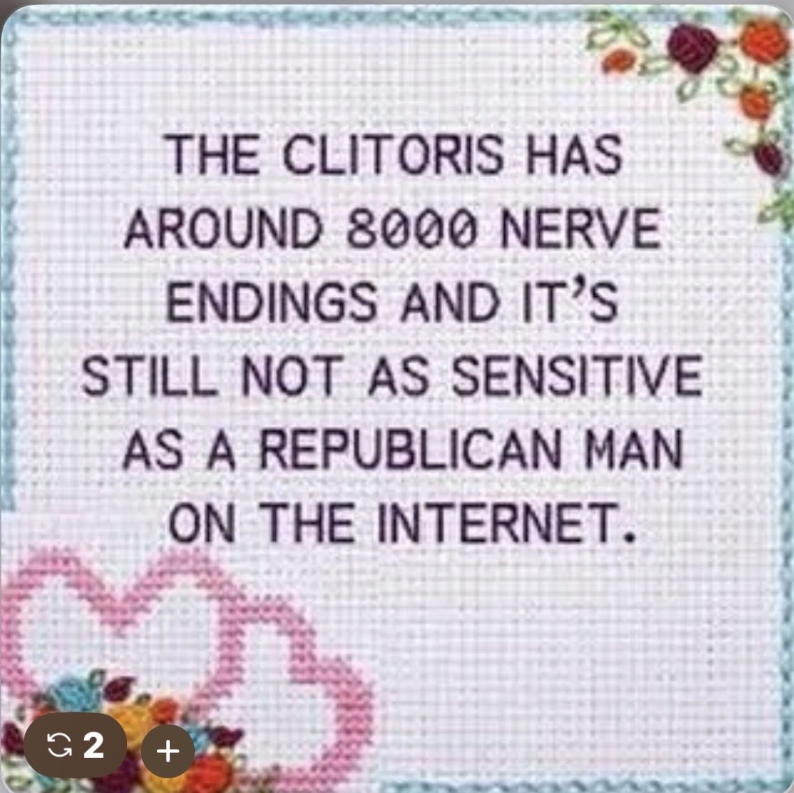 LoriZuba1's tweet image. #SnowflakeRight