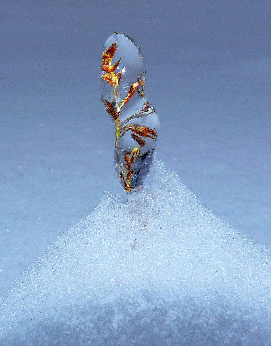 StuartH89403516's tweet photo. #Winter #Ice #TrappedinIce #Photography #Oklahoma #Nikon
Trapped until Spring https://t.co/4ZMcWEdbqL