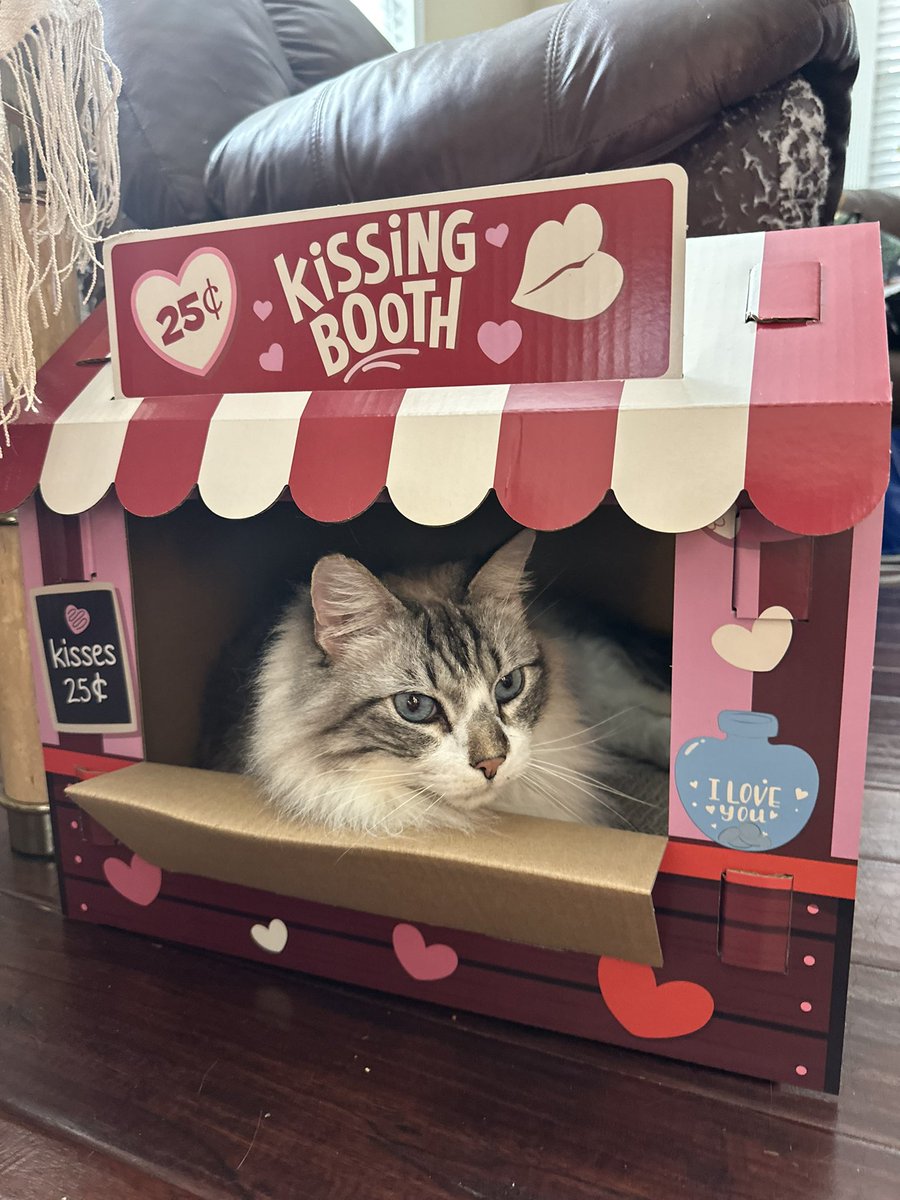 ImmHiccup's tweet photo. any takers? https://t.co/eePi8b6kS0
