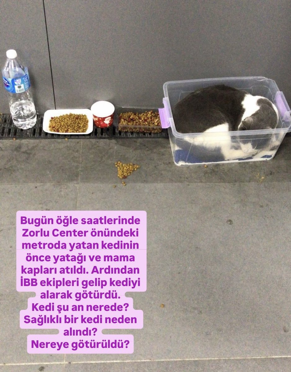 kansoybeng's tweet image. İnsanların bağ kurdukları kimseye zararı olmayan hayvanları alıp yok ederek hepimizin psikolojisini bozuyorsunuz. Bu kedinin size zararı neydi? Zorlu center önünde yatan bu yavrucağı hemen yerine bırakın ! @IBBcozummerkezi