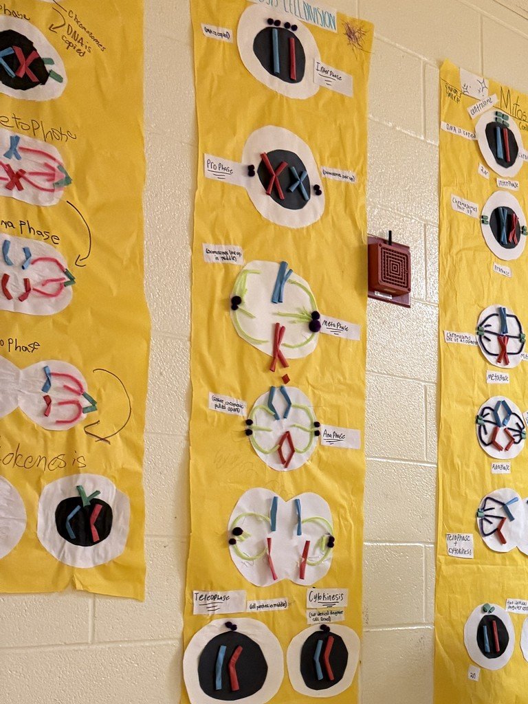 Joe T. Robinson High School - PCSSD tweet media