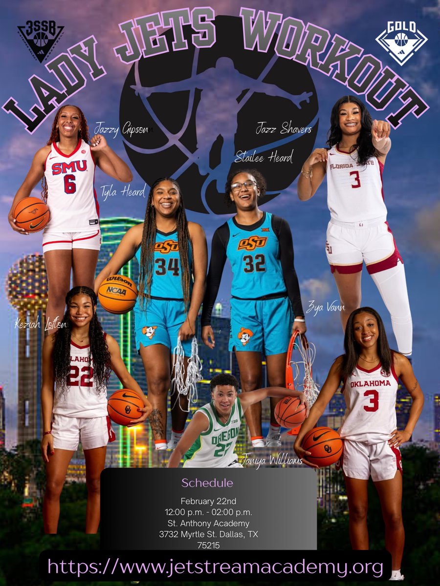 Lady Jets Elite tweet media