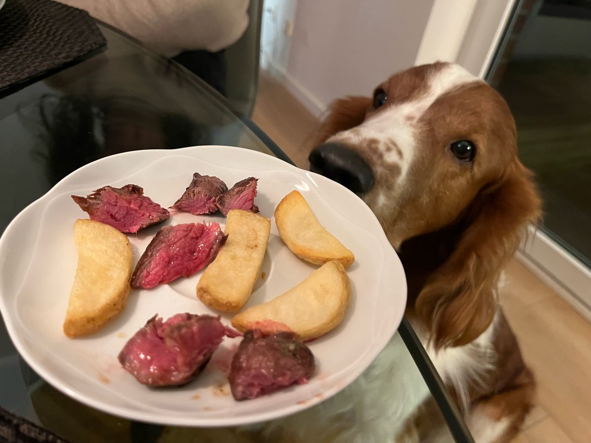 Sorry, Pfreunde - das Personal hatte unbezahlten Urlaub genommen. 🙄Irgendwas mit Stress - Menschensachen halt. ☺️Abba heute Abend gab es Steak au poivre - ohne dieses poivre für mich aber dafür mit extra dicken Pommelz 😋Ich hoffe dass ich nur Gutes im Rudel verpasst habe. 🍀