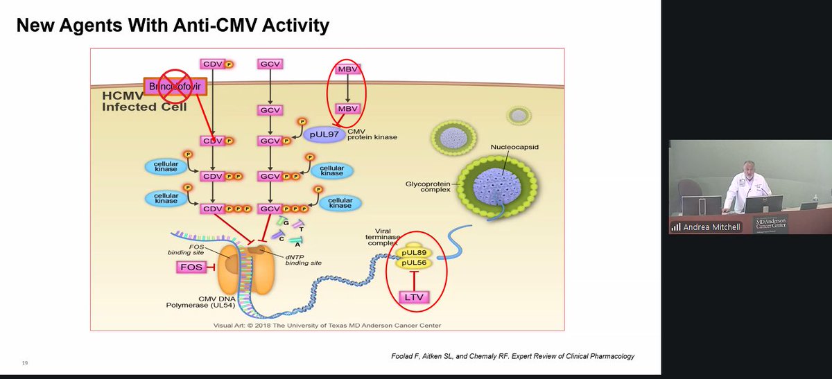 Takahiro Matsuo (Taka), MD tweet media