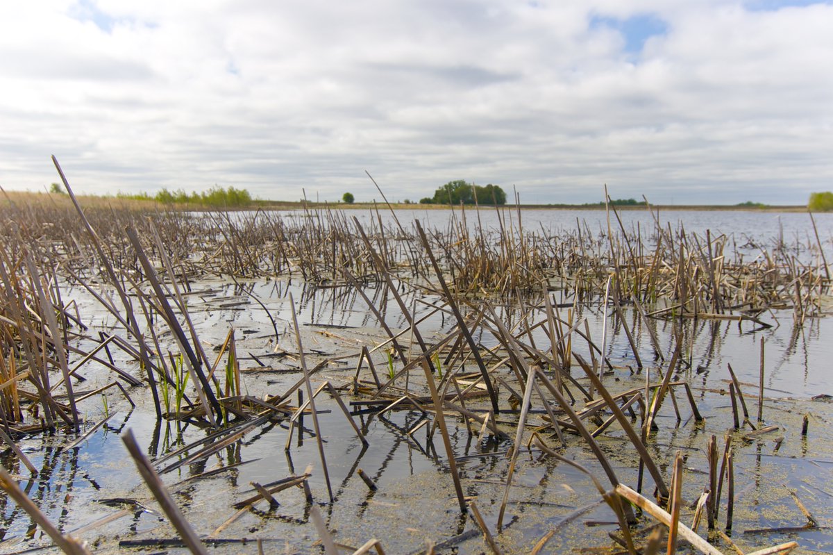 Minnesota Pollution Control Agency tweet media