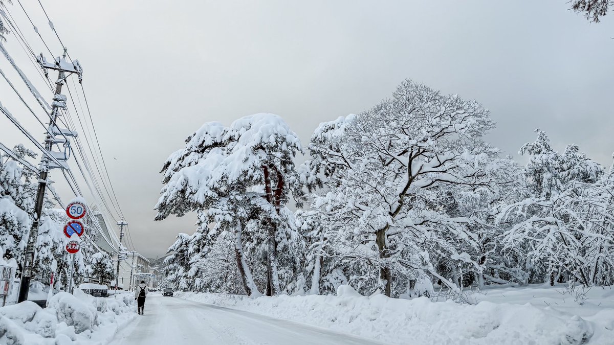 toshi__33's tweet photo. 敦賀ヤバい😱

 #敦賀 
 #大雪 https://t.co/XkBgvxRL0v