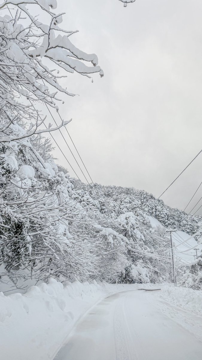 toshi__33's tweet photo. 敦賀ヤバい😱

 #敦賀 
 #大雪 https://t.co/XkBgvxRL0v