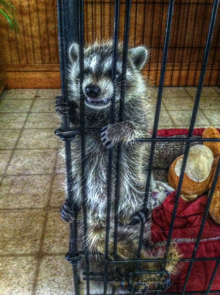 Goodnight!!!! 💤💤💤