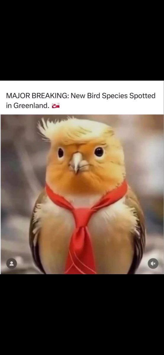JeffRoberts1961's tweet photo. https://t.co/nuExw7vQoh