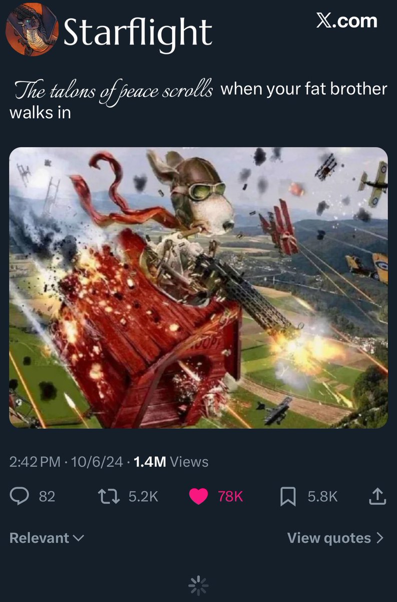 Cal Cara tweet media