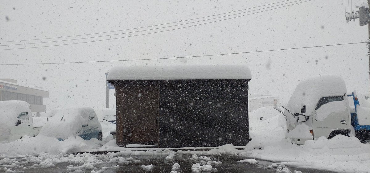 FREEDOM20240601's tweet image. FREEDOM 
■明日、明後日はお休みです
お間違えないように。

#FREEDOM
#フリーダム
#新潟県
#長岡市
#hellsdept
#hotwheels
#IGNITE
#ホットウィール
#カスタム
#カスタムミニカー
#ミニカー