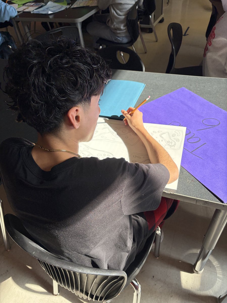 Melissa Rodriguez tweet media