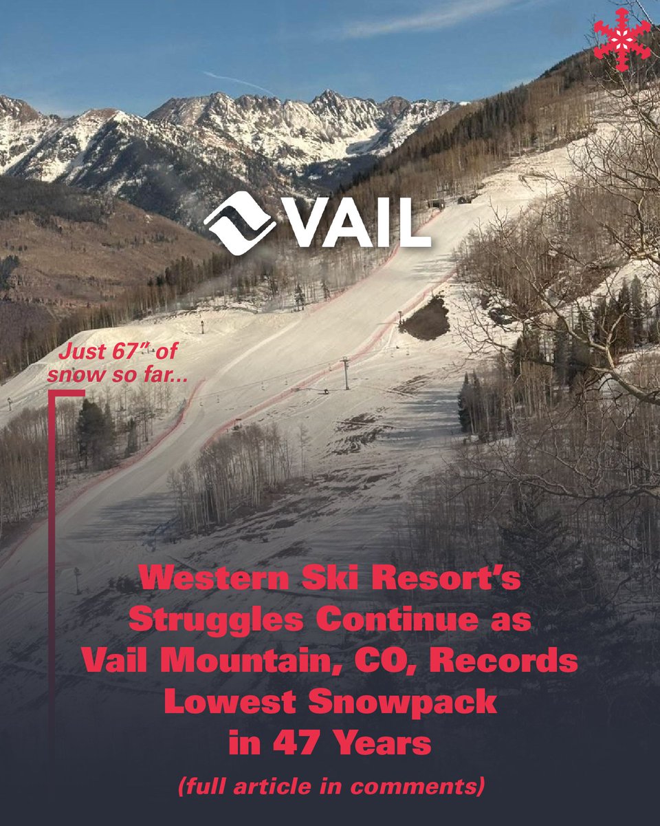 SnowBrains tweet media