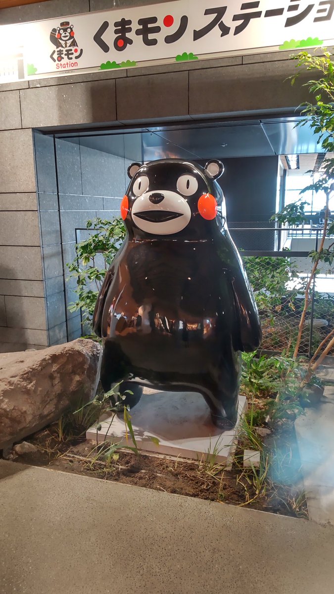 ショパンコンクールガラコンサート(熊本)
皆さん、さすがに素晴らしい演奏だった。エリック・ルーさん、とっても素敵✨✨。
初めて生で大好きなコンチェルト1番を聴いたけど、ケヴィンさんのキラッキラの音は会場中に響きわたっていたと思う👏👏。
奇跡的な当日券😳✨、聴けて本当に良かった。