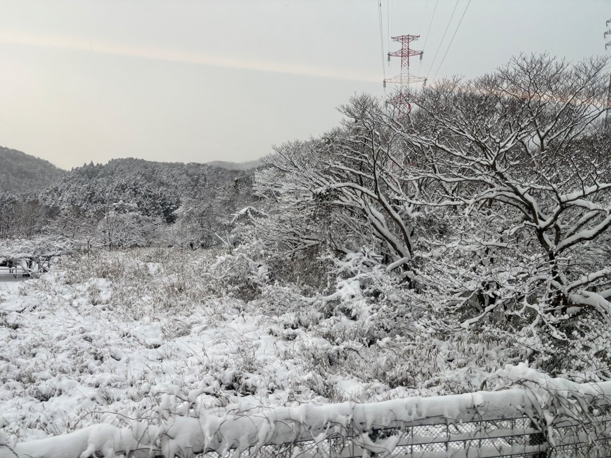 yukojaro's tweet photo. 朝イチの、のぞみ1号に乗ったら、米原らへん、在来線並に徐行運転でした。おかげで、45分遅延😥 https://t.co/n9Gtphiapk