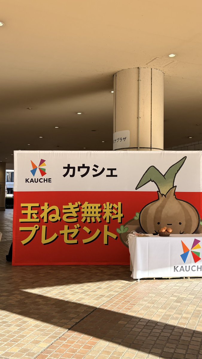 kauche_jp's tweet photo. 本日、海老名駅前のViNA WALKのイベントスペースで玉ねぎ無料配布中🧅

10：00〜17：00までの開催です！
ぜひお越しください！ https://t.co/J7CEoWndti