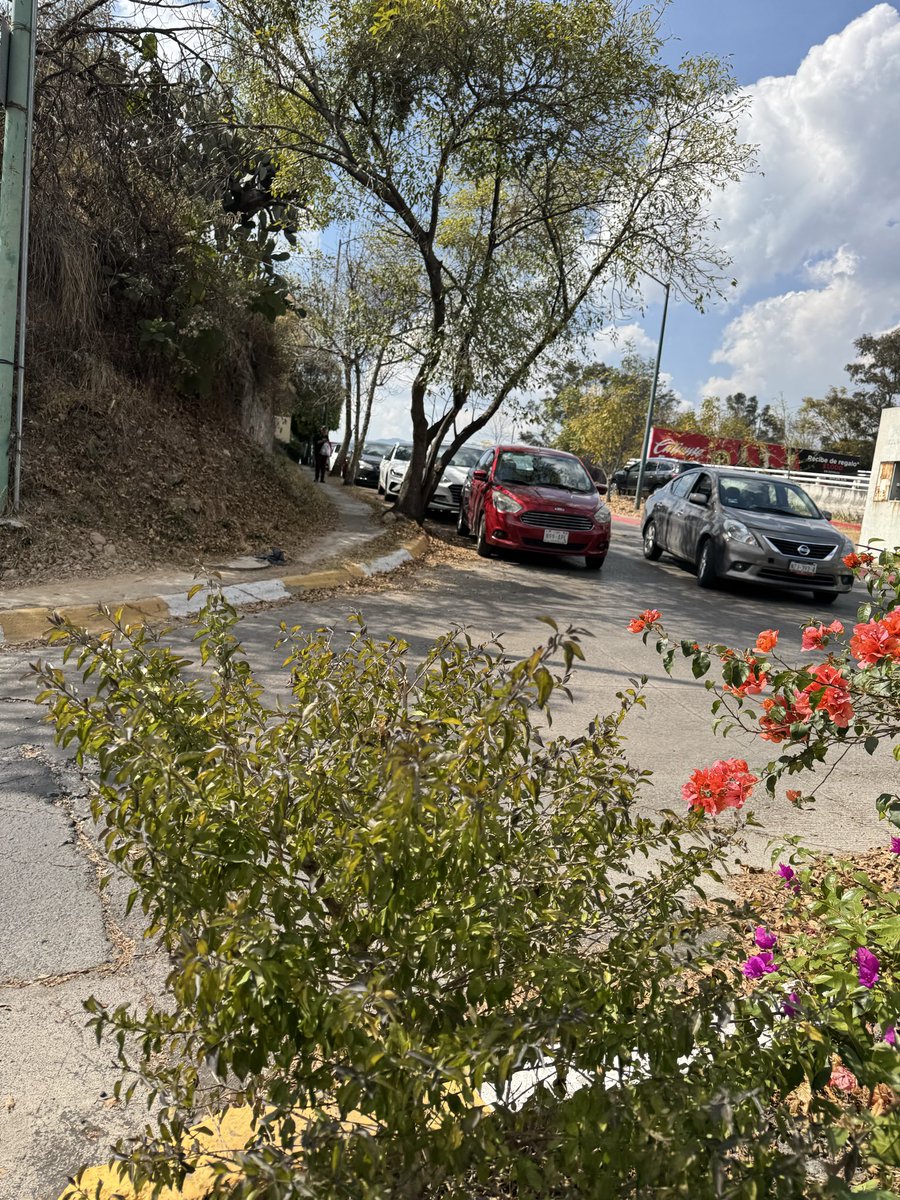 Chole dval tweet media