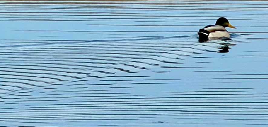 DMiller52325459's tweet image. Minimalism photography 📸