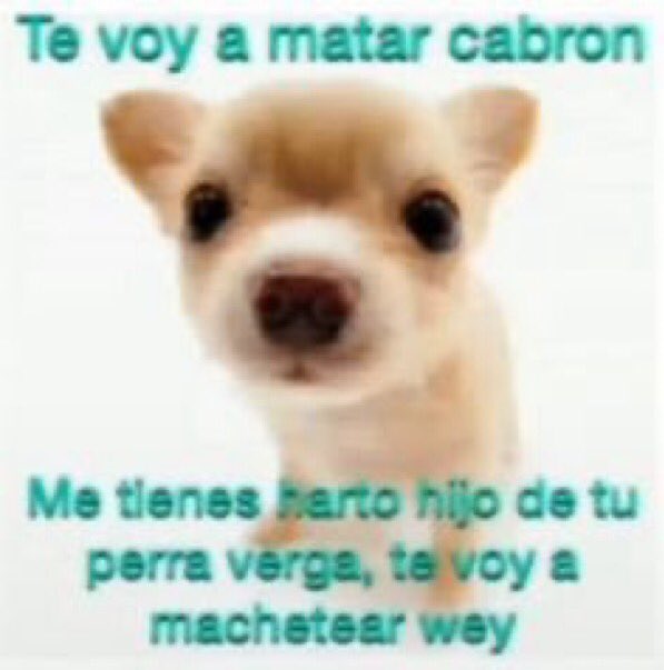 kiss (@sentirmesexy) on Twitter photo 