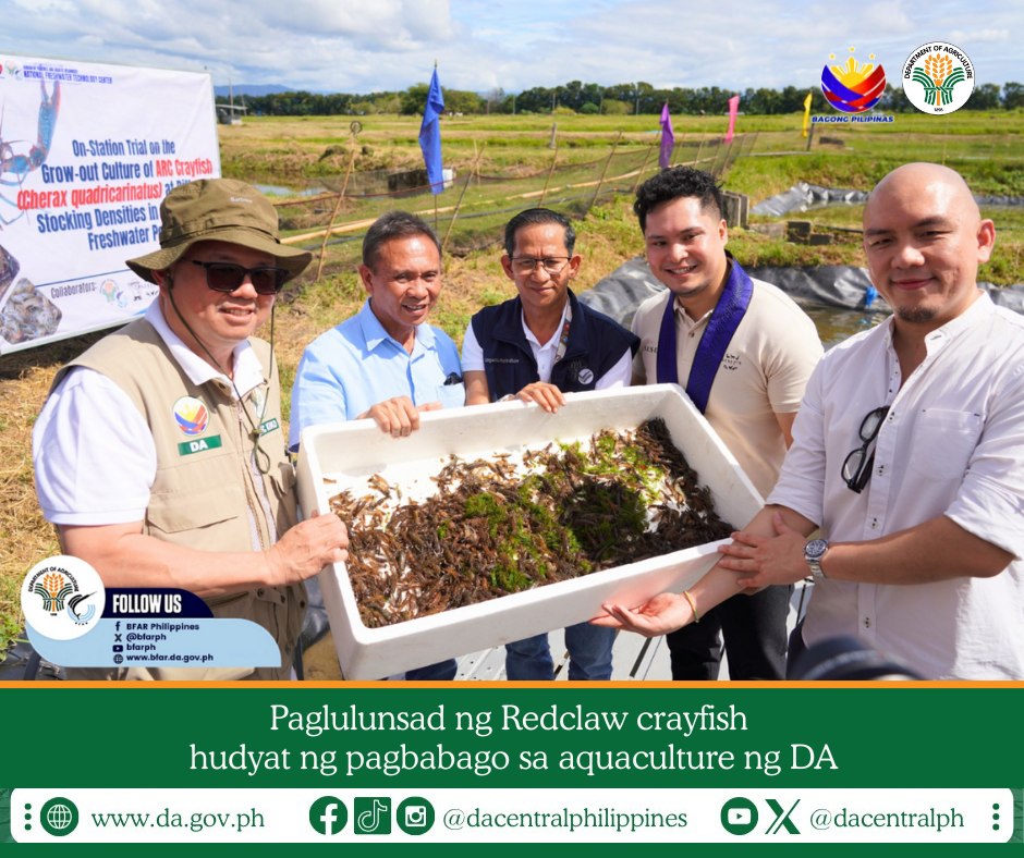 BFAR Philippines 🐟 tweet media