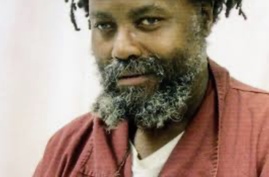 IncarcerNation.com tweet media