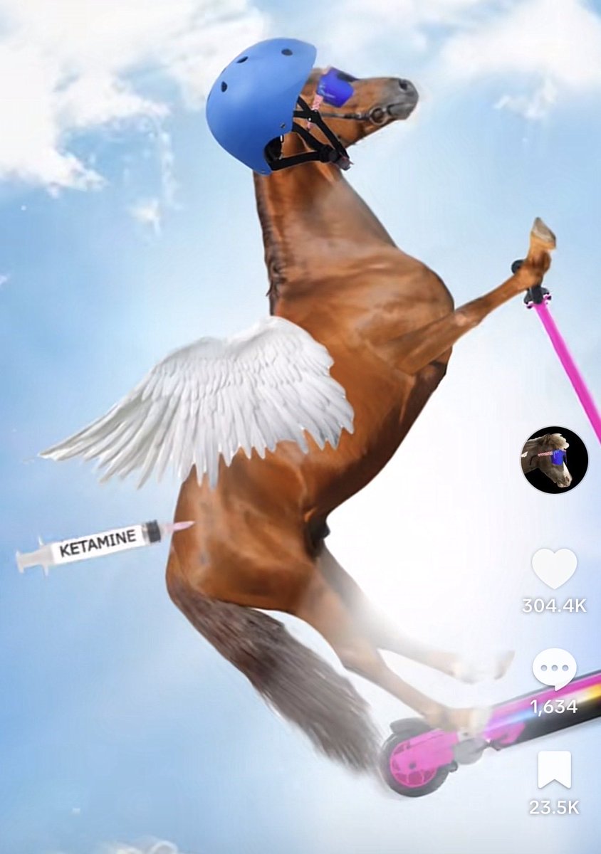 I’m the Great Value Seabiscuit $fkh