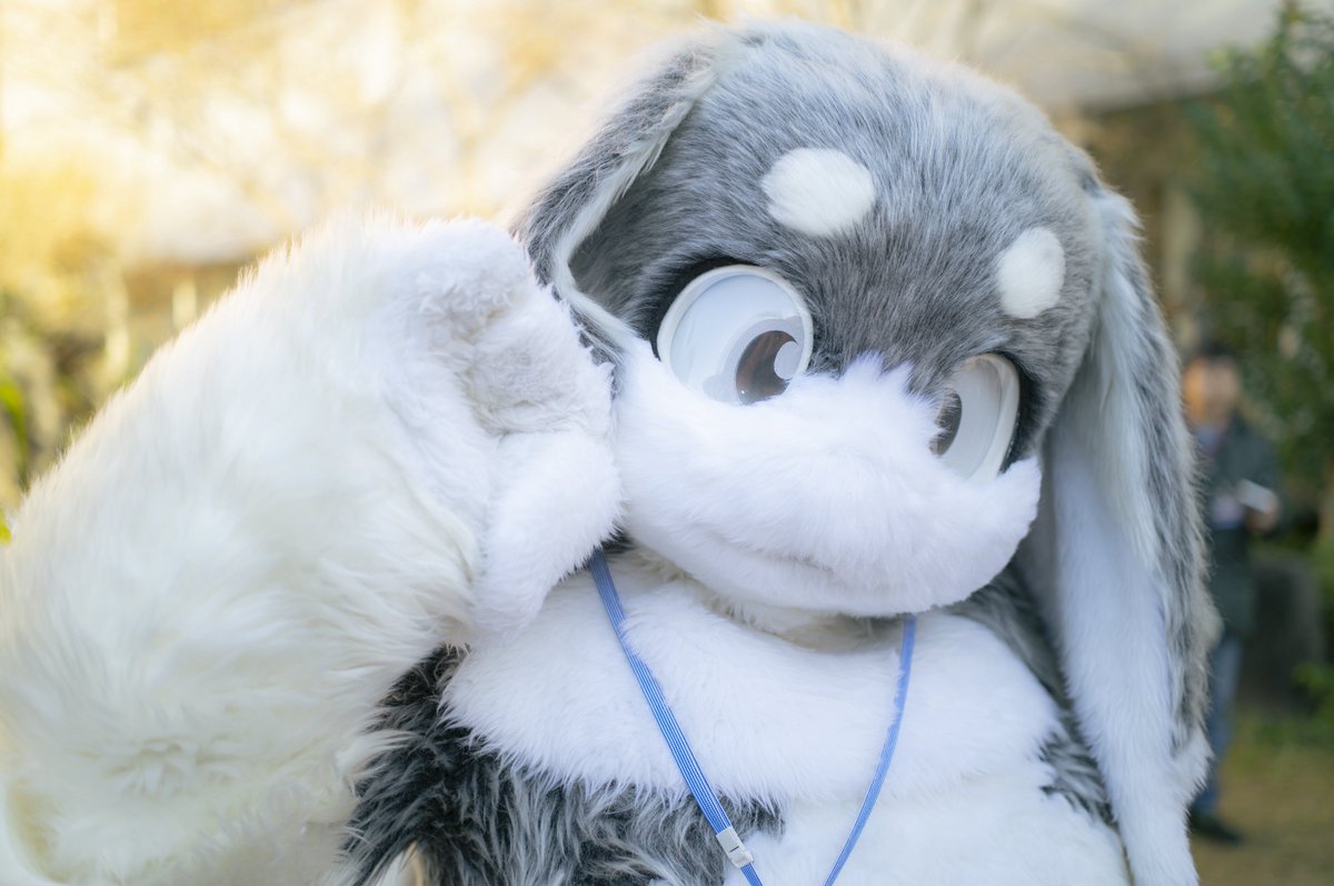 ろっ太🐰✌️
#JMoF2026 #FursuitFriday