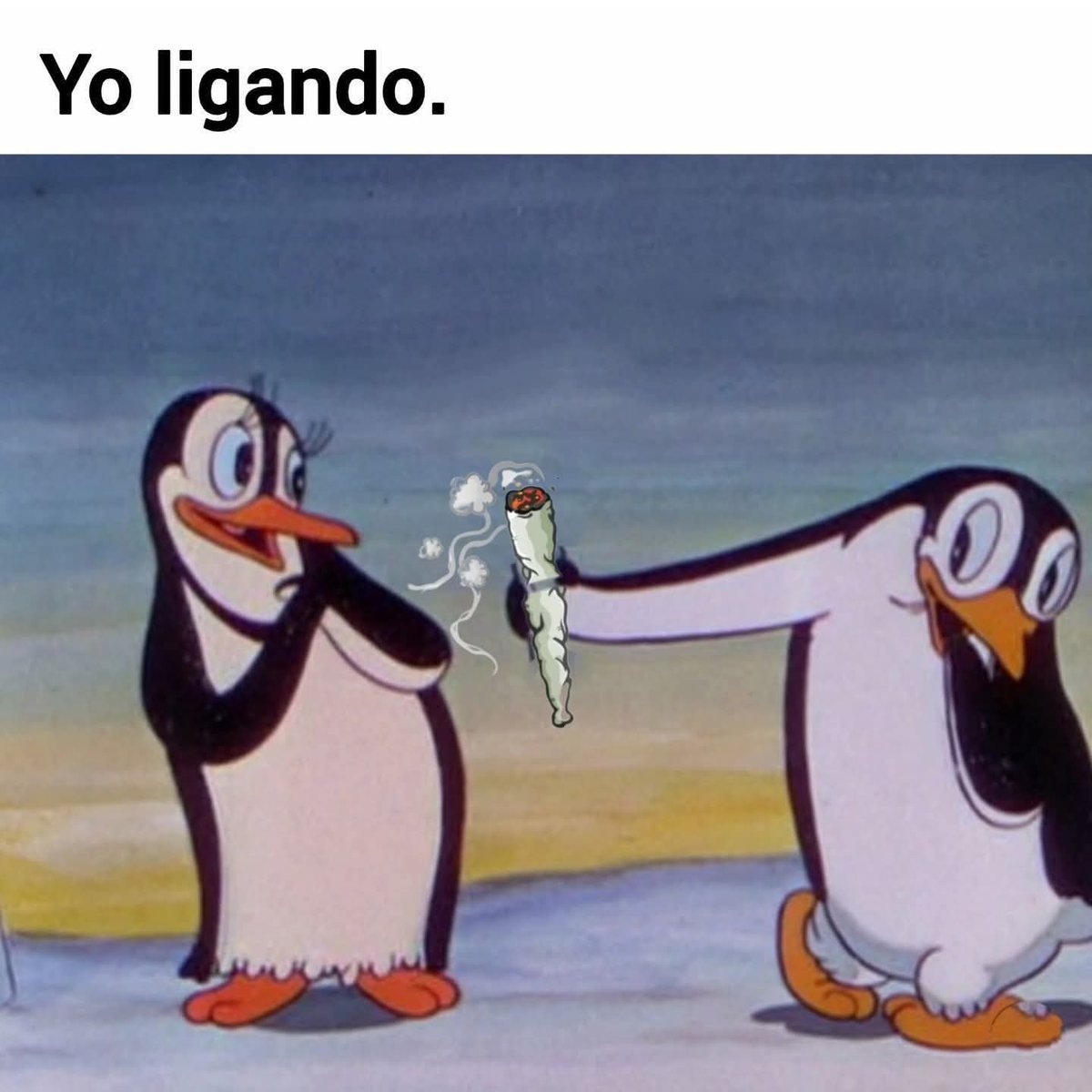 Charly Grown (@charlygrown) on Twitter photo 