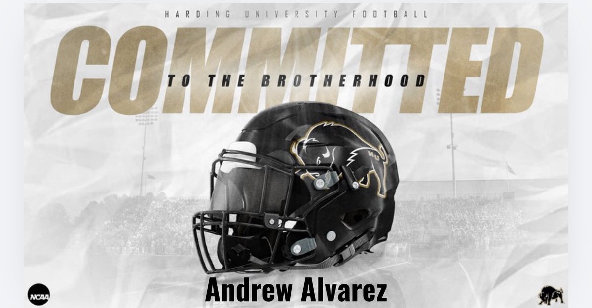 Andrew Alvarez tweet media