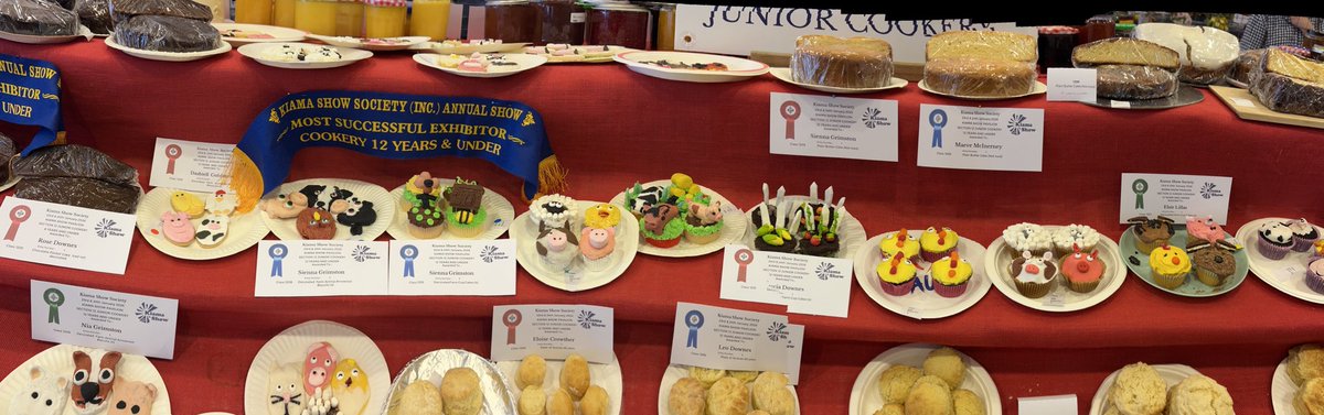 Fortunately the decorated farm animal class is right next door - the decorated farmers will keep everything under control at Kiama show!