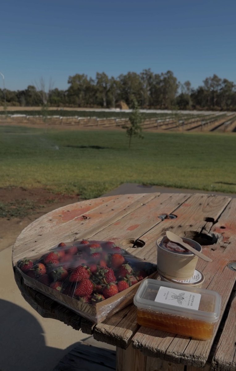 🕸️🗡️Alourea🗡️🕸️ tweet media