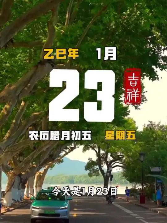锤锤（互fo互赞💯） tweet media