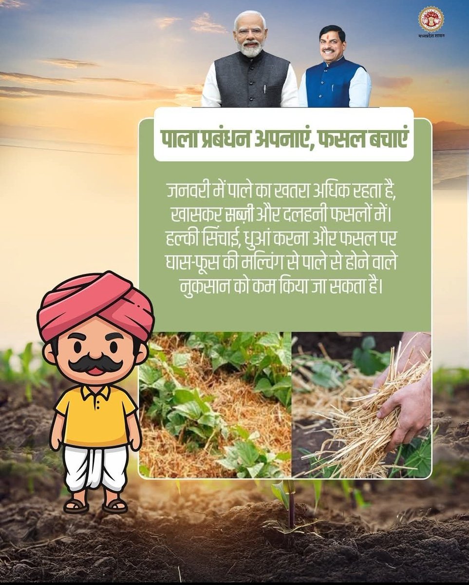 JansamparkK's tweet image. पाला प्रबंधन अपनाएं, फसल बचाएं...
@JansamparkMP
@DrMohanYadav51
@karansingh_158
 #KrishiSavera
#PalaPrabandhan #FrostProtection #RabiCrops
#katni #कटनी