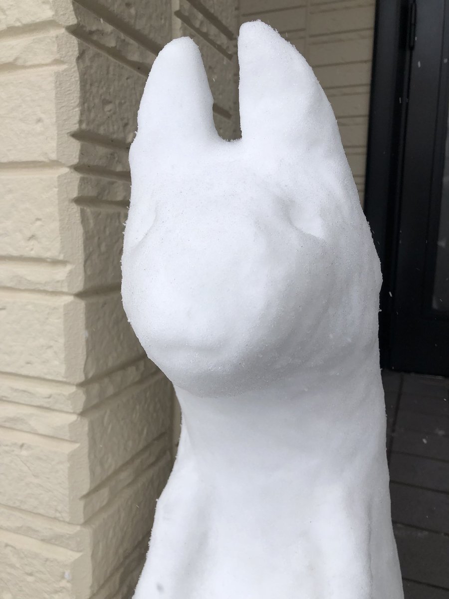 今年は雪akyo！
 #akyo