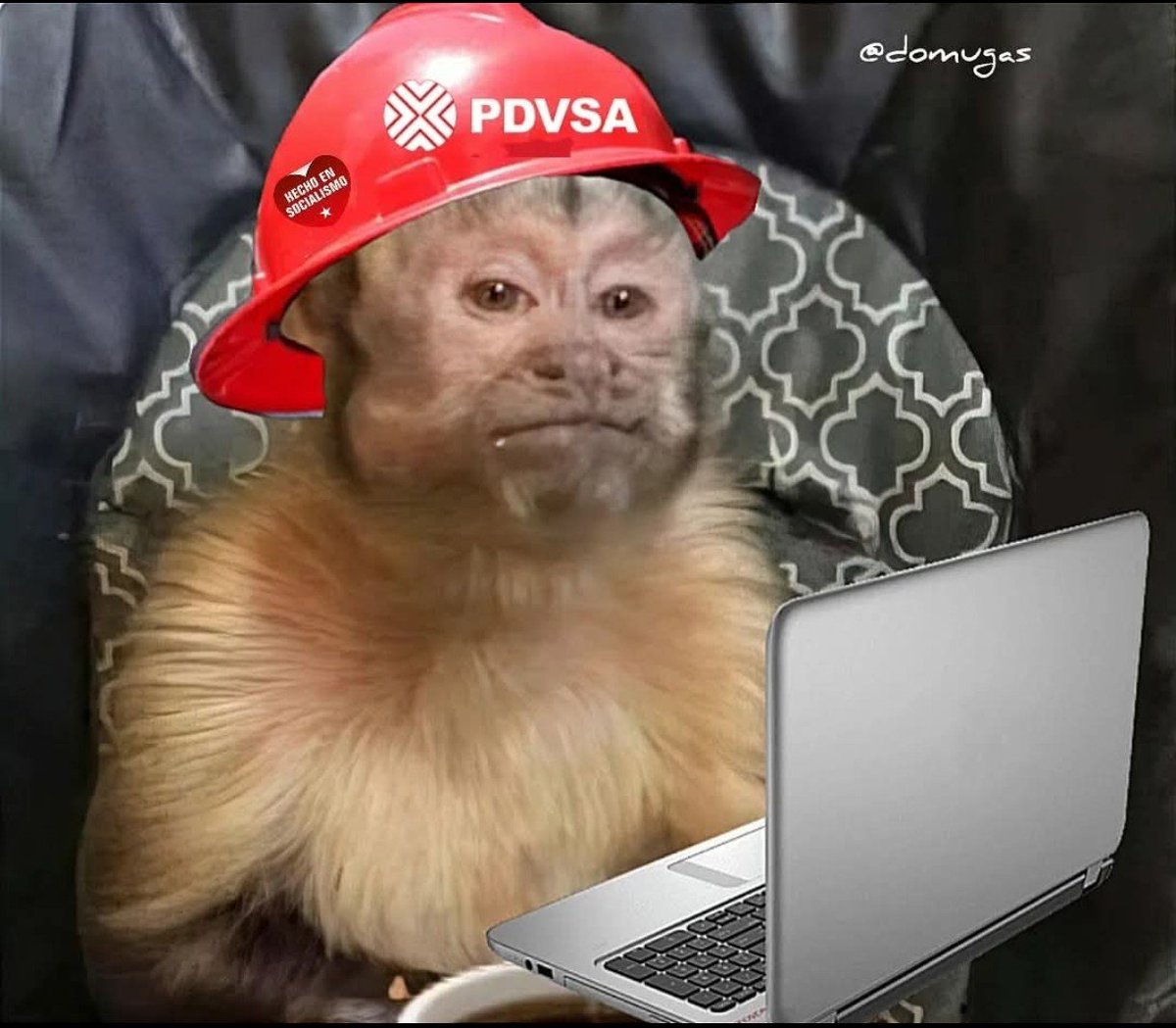 DomUgas's tweet image. - ¿Y no nos hará daño producir petróleo así? 
- ¿Así cómo?
- Así, sin que se lo roben.