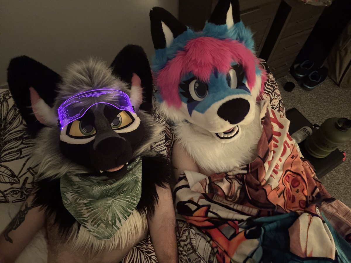 🔞🐾|| Sparky/Luni ||🐾🔞 tweet media